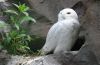 Filename=01.JPG
Filesize=217KiB
Dimensions=800x523
Date added=May 22, 2013 01.JPG