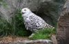 Filename=02.JPG
Filesize=270KiB
Dimensions=800x505
Date added=May 22, 2013 02.JPG