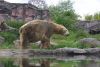 Filename=05.JPG
Filesize=271KiB
Dimensions=800x541
Date added=May 22, 2013 05.JPG
