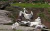 Filename=08.JPG
Filesize=140KiB
Dimensions=800x511
Date added=May 22, 2013 08.JPG