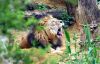 Filename=09.JPG
Filesize=159KiB
Dimensions=800x512
Date added=May 22, 2013 09.JPG