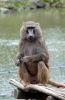 Filename=15.JPG
Filesize=117KiB
Dimensions=521x800
Date added=May 22, 2013 15.JPG