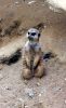 Filename=17.JPG
Filesize=194KiB
Dimensions=488x800
Date added=May 22, 2013 17.JPG