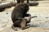 Filename=18.JPG
Filesize=150KiB
Dimensions=800x524
Date added=May 22, 2013 18.JPG