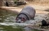 Filename=26.JPG
Filesize=200KiB
Dimensions=800x516
Date added=May 22, 2013 26.JPG
