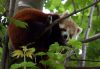 Filename=34.JPG
Filesize=113KiB
Dimensions=800x552
Date added=May 22, 2013 34.JPG