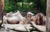 Filename=36.JPG
Filesize=194KiB
Dimensions=800x516
Date added=May 22, 2013 36.JPG