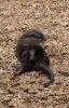 Filename=41.JPG
Filesize=292KiB
Dimensions=518x800
Date added=May 22, 2013 41.JPG